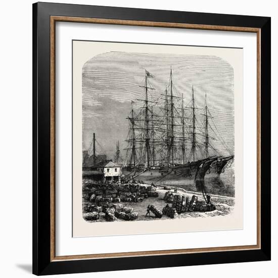 Embarking Cotton at Savannah, USA, 1870s-null-Framed Giclee Print