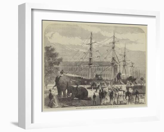 Embarking Elephants at Bombay for the Abyssinian Expedition-Charles Robinson-Framed Giclee Print