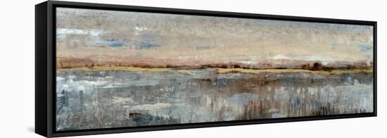 Embellished Grey Mist I-Tim OToole-Framed Stretched Canvas