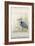 Embellished Heron Sanctuary II (BA)-Tim OToole-Framed Art Print