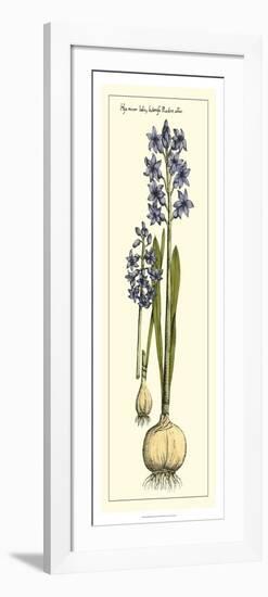 Embellished Hyacinth I-Vision Studio-Framed Art Print