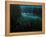Ember Of Life-kirilstanchev-Framed Stretched Canvas
