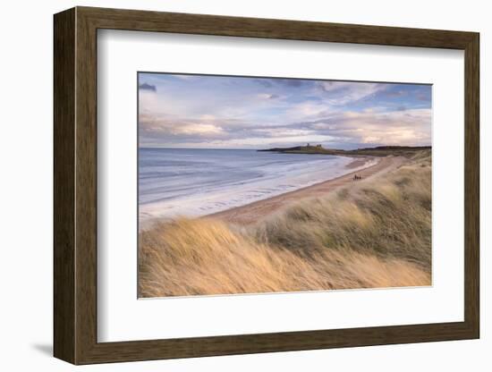 Embleton Bay and Dunstanburgh Castle, Northumberland, England. Winter (February) 2016.-Adam Burton-Framed Photographic Print