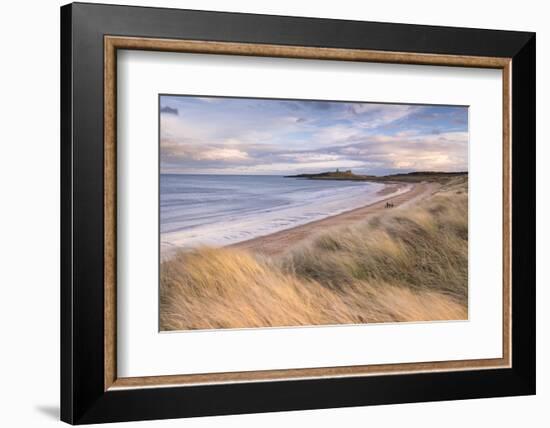 Embleton Bay and Dunstanburgh Castle, Northumberland, England. Winter (February) 2016.-Adam Burton-Framed Photographic Print