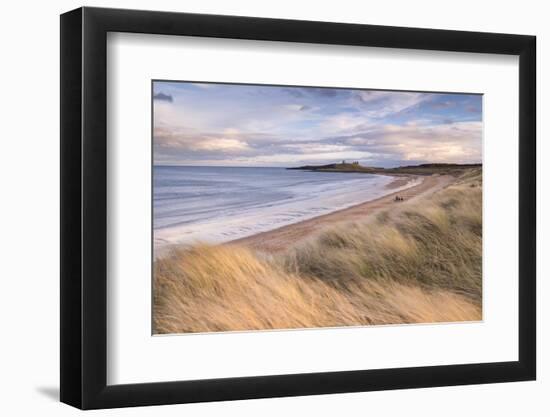 Embleton Bay and Dunstanburgh Castle, Northumberland, England. Winter (February) 2016.-Adam Burton-Framed Photographic Print