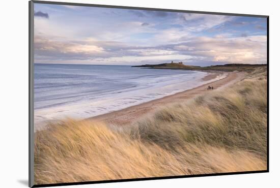 Embleton Bay and Dunstanburgh Castle, Northumberland, England. Winter (February) 2016.-Adam Burton-Mounted Photographic Print