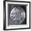 Embossed Silver Bottom of Vase Depicting Mythical Animal Attacking Another-null-Framed Giclee Print