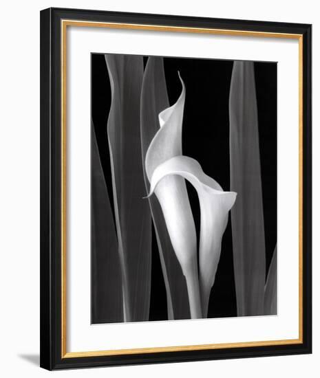 Embrace-Mary Ann Mercer-Framed Art Print