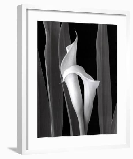 Embrace-Mary Ann Mercer-Framed Art Print