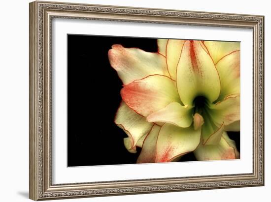 Embracing-Christy Ann-Framed Giclee Print