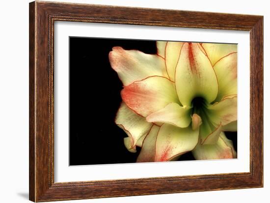 Embracing-Christy Ann-Framed Giclee Print