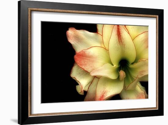 Embracing-Christy Ann-Framed Giclee Print