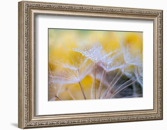 Embroideries of light-Marco Carmassi-Framed Photographic Print