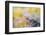 Embroideries of light-Marco Carmassi-Framed Photographic Print