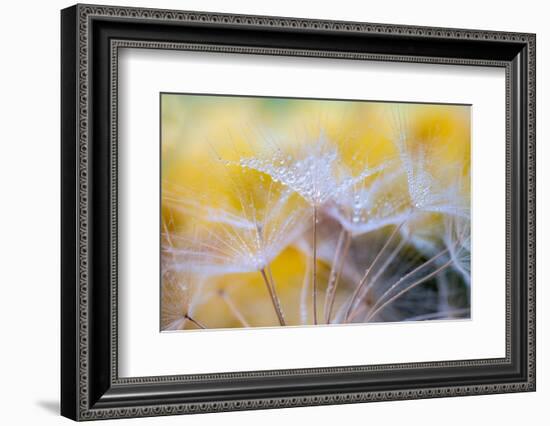 Embroideries of light-Marco Carmassi-Framed Photographic Print