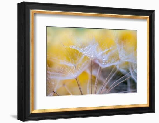 Embroideries of light-Marco Carmassi-Framed Photographic Print