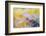 Embroideries of light-Marco Carmassi-Framed Photographic Print