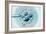 Embryo Selection for IVF Light Micrograph-ZEPHYR-Framed Photographic Print