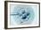 Embryo Selection for IVF Light Micrograph-ZEPHYR-Framed Photographic Print