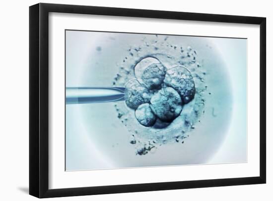 Embryo Selection for IVF Light Micrograph-ZEPHYR-Framed Photographic Print