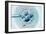 Embryo Selection for IVF Light Micrograph-ZEPHYR-Framed Photographic Print