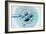 Embryo Selection for IVF Light Micrograph-ZEPHYR-Framed Photographic Print