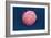 Embryonic Stem Cell, SEM-Science Photo Library-Framed Photographic Print