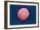 Embryonic Stem Cell, SEM-Science Photo Library-Framed Photographic Print