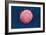 Embryonic Stem Cell, SEM-Science Photo Library-Framed Photographic Print