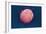 Embryonic Stem Cell, SEM-Science Photo Library-Framed Photographic Print