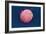 Embryonic Stem Cell, SEM-Science Photo Library-Framed Photographic Print