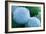 Embryonic Stem Cells, SEM-Science Photo Library-Framed Photographic Print