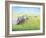 Emerald Acres-Kevin Dodds-Framed Giclee Print