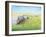 Emerald Acres-Kevin Dodds-Framed Giclee Print