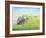 Emerald Acres-Kevin Dodds-Framed Giclee Print