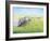 Emerald Acres-Kevin Dodds-Framed Giclee Print