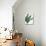 Emerald Banana Leaves I-Janelle Penner-Mounted Art Print displayed on a wall