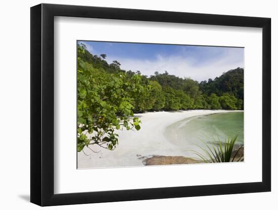 Emerald Bay, Beach and Palm Trees, Palau Pangkor Laut, Malaysia-Peter Adams-Framed Photographic Print