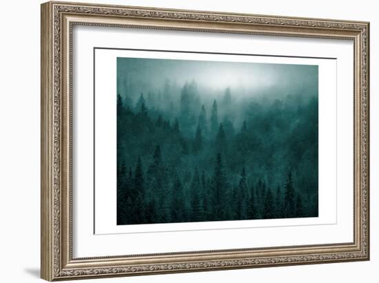 Emerald Forest-Kimberly Allen-Framed Art Print