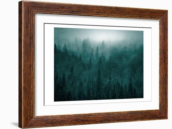 Emerald Forest-Kimberly Allen-Framed Art Print