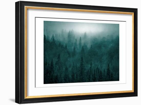 Emerald Forest-Kimberly Allen-Framed Art Print