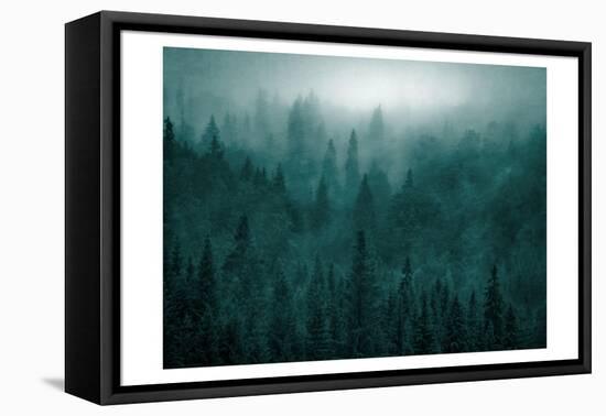 Emerald Forest-Kimberly Allen-Framed Stretched Canvas