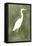 Emerald Heron III-Emma Caroline-Framed Stretched Canvas