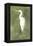 Emerald Heron IV-Emma Caroline-Framed Stretched Canvas