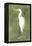 Emerald Heron IV-Emma Caroline-Framed Stretched Canvas