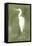 Emerald Heron IV-Emma Caroline-Framed Stretched Canvas