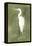 Emerald Heron IV-Emma Caroline-Framed Stretched Canvas