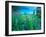 Emerald Lake, Yoho National Park, British Columbia-Rob Tilley-Framed Photographic Print