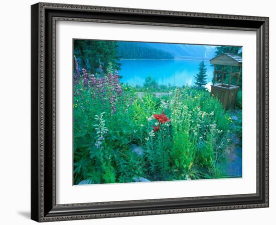 Emerald Lake, Yoho National Park, British Columbia-Rob Tilley-Framed Photographic Print