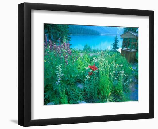 Emerald Lake, Yoho National Park, British Columbia-Rob Tilley-Framed Photographic Print